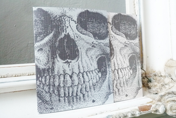 Illustrated Skull