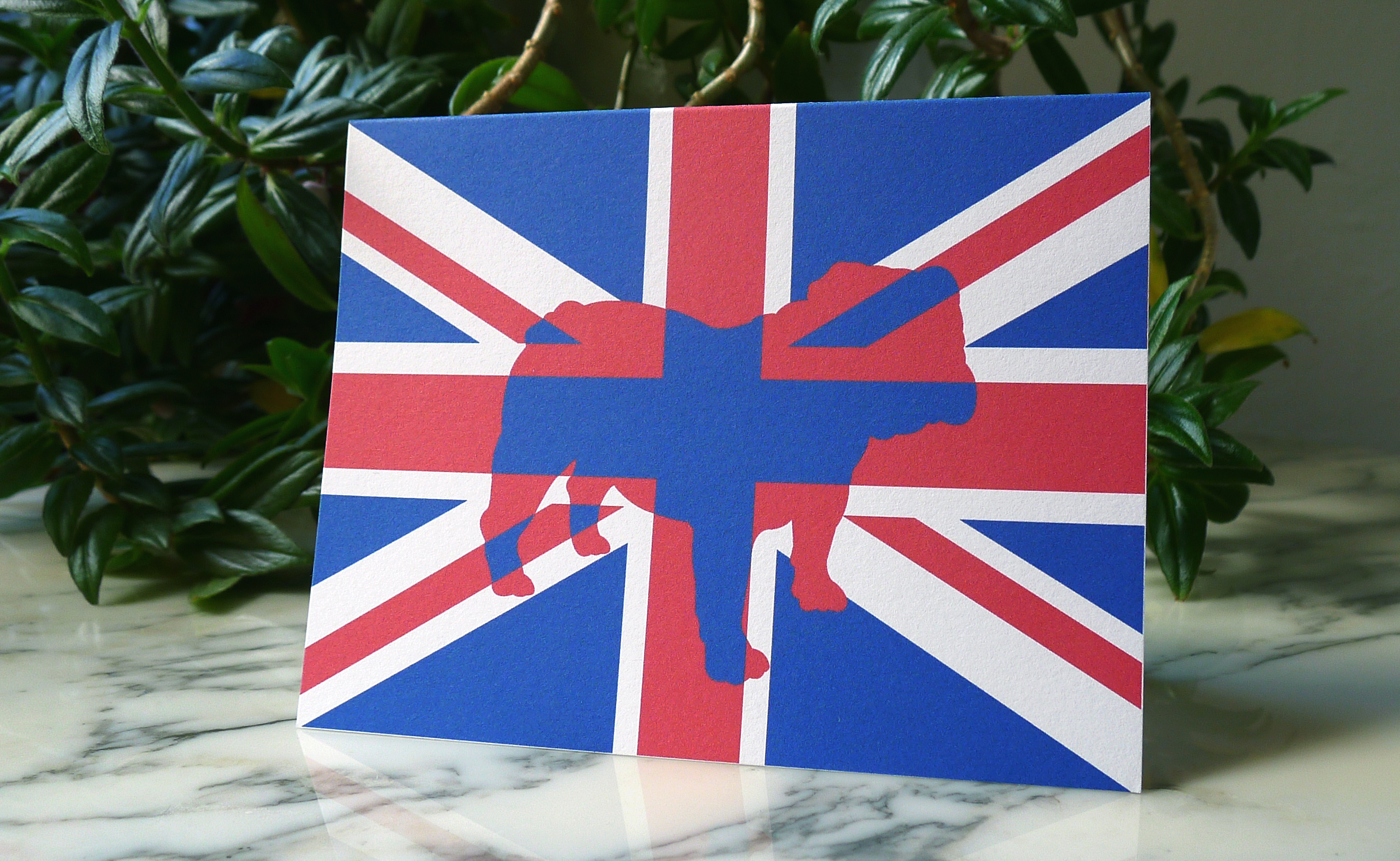 Bulldog, Union Jack, England, Graphic Design, Illustration